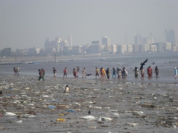 Chowpatty là bãi tắm nổi tiếng nhất của Ấn Độ, nhưng nó cũng là một trong những bãi biển ô nhiễm nhất trên thế giới. Mỗi năm hàng nghìn người chào mừng lễ hội tượng thần Ganesha Chaturthi của người Hindu ở đây. Theo truyền thống sau khi kết thúc lễ hội, bức tượng thần sẽ được thả ra biển.